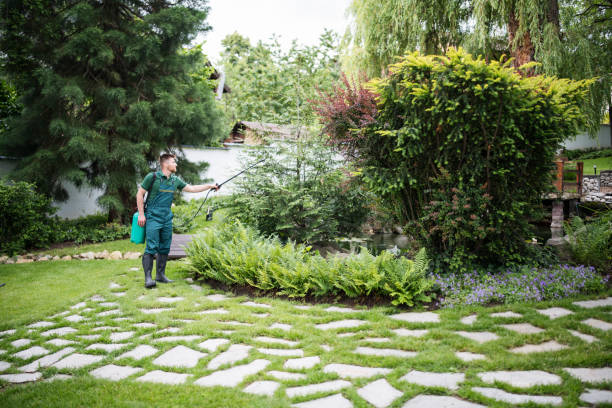 Best Ant Control Services  in Parker City, IN