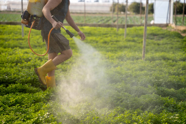 Best Best Pest Control Companies  in Parker City, IN