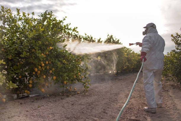 Best Best Pest Control Near Me  in Parker City, IN