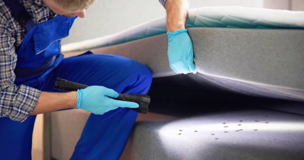 Best Rat Extermination Near Me  in Parker City, IN