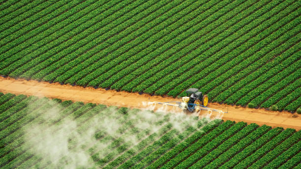 Best Mosquito Control Services  in Parker City, IN