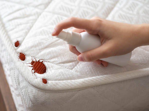Best Cockroach Control Services  in Parker City, IN