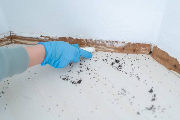 Best Exterminator Services  in Parker City, IN