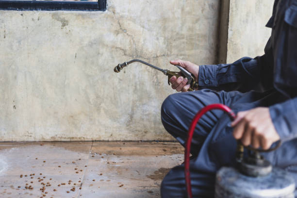 Best Affordable Pest Control Services  in Parker City, IN